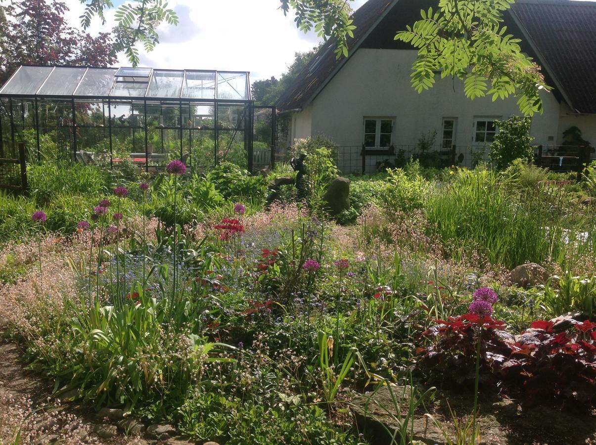 Bed And Breakfast - Stakdelen 47 Allerup Buitenkant foto