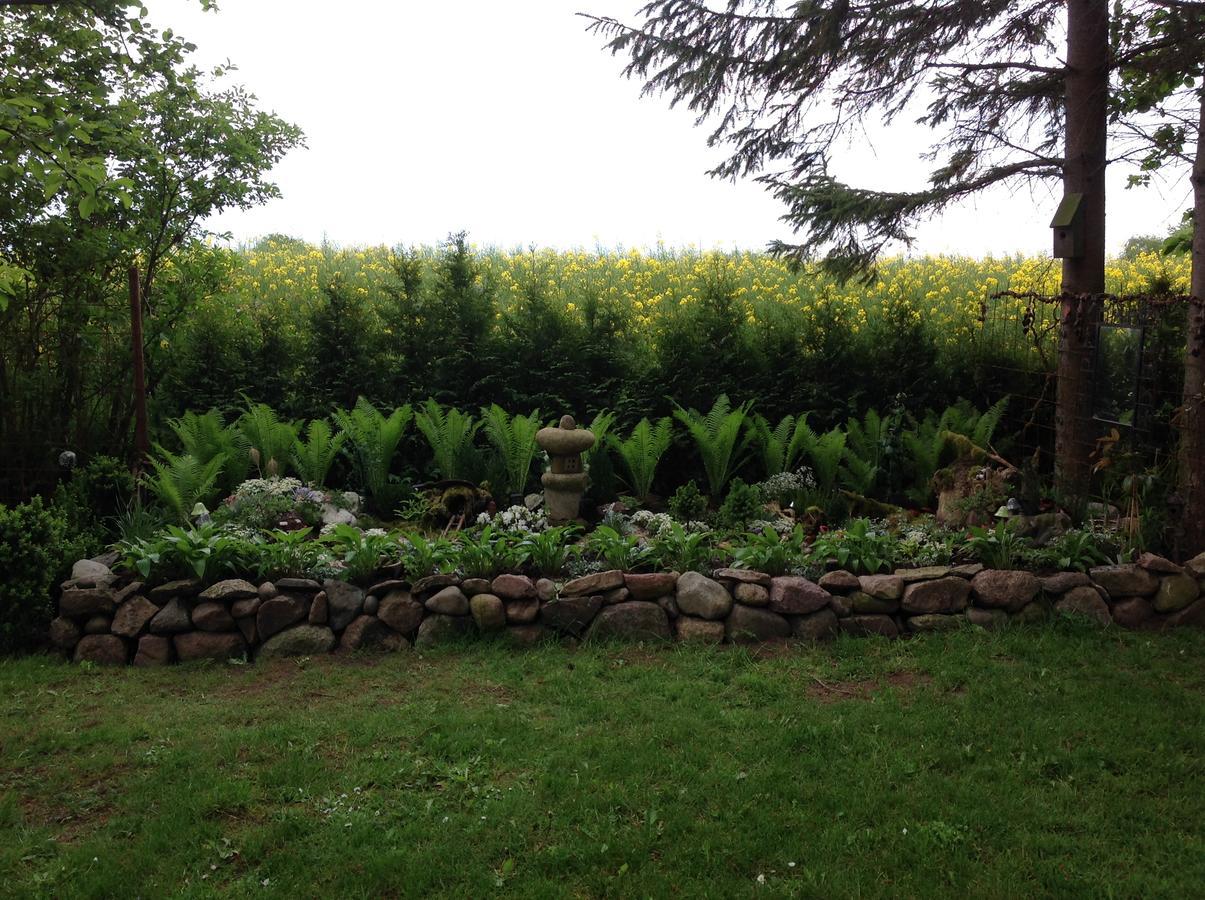 Bed And Breakfast - Stakdelen 47 Allerup Buitenkant foto